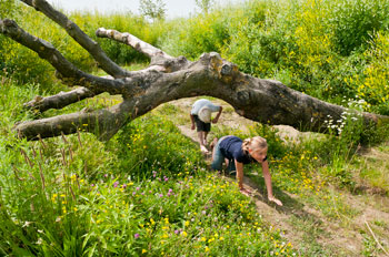 tiengemeten speelnatuur